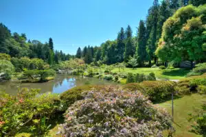 Japanese Garden at Washington Park Arboretum, Seattle, Washington State, United States