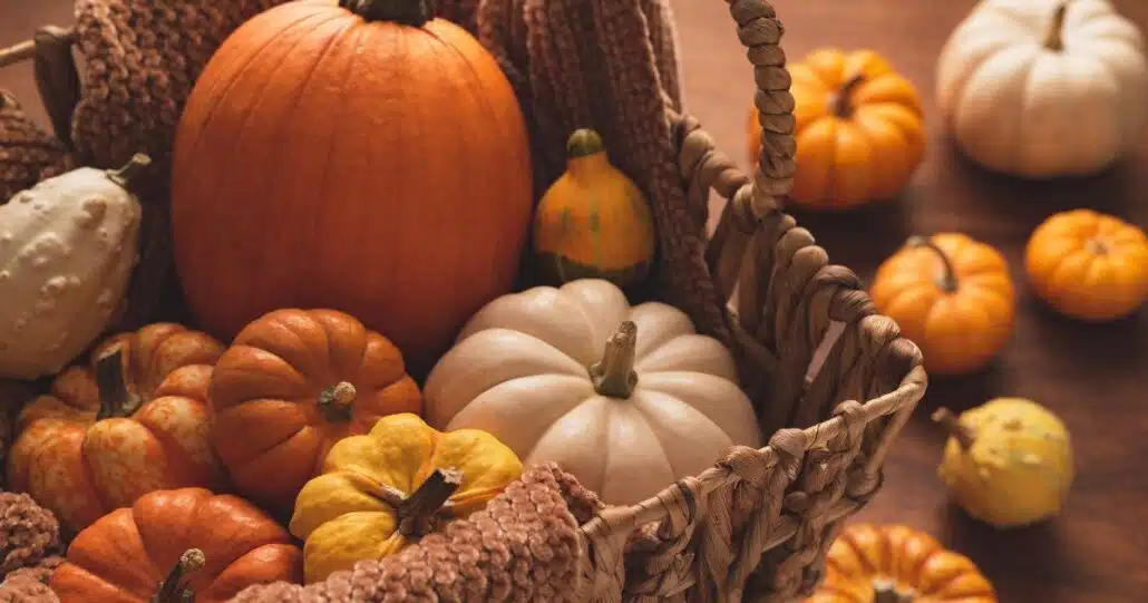 Pumpkins in a basket to celebrate fall savings.